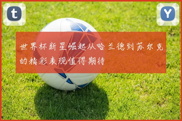 世界杯新星崛起从哈兰德到苏尔克的精彩表现值得期待